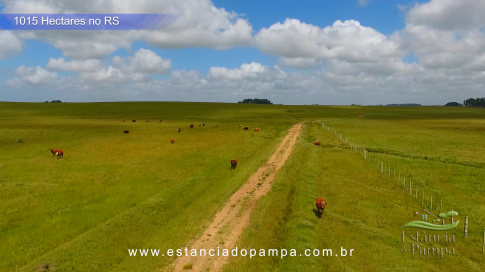 1015 HA no RS MARINETI.00_00_37_13.Quadro012_6a66efaf6d37877a4ab34f252b90da0c5ad20d75.png